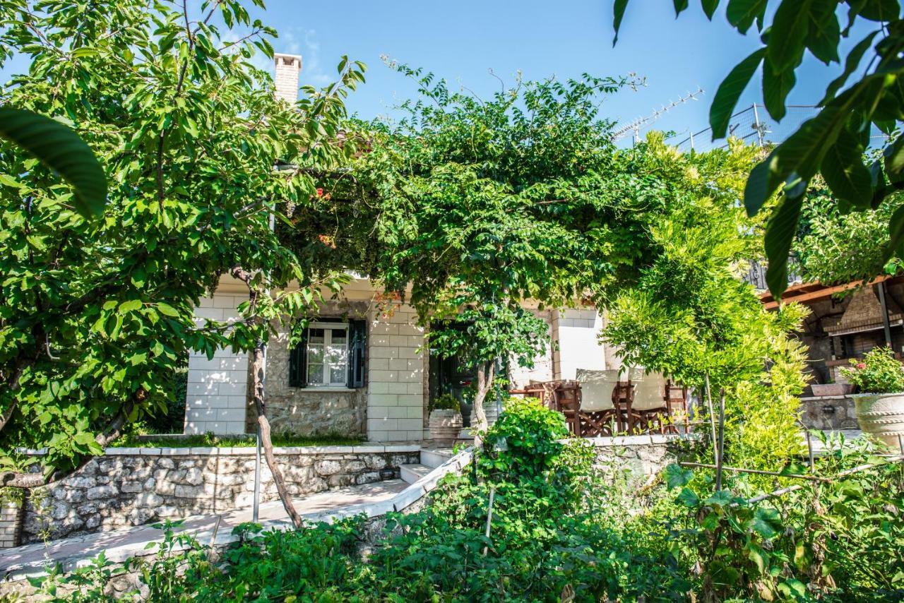 Villa Ilias Pinakokhorion Exterior foto