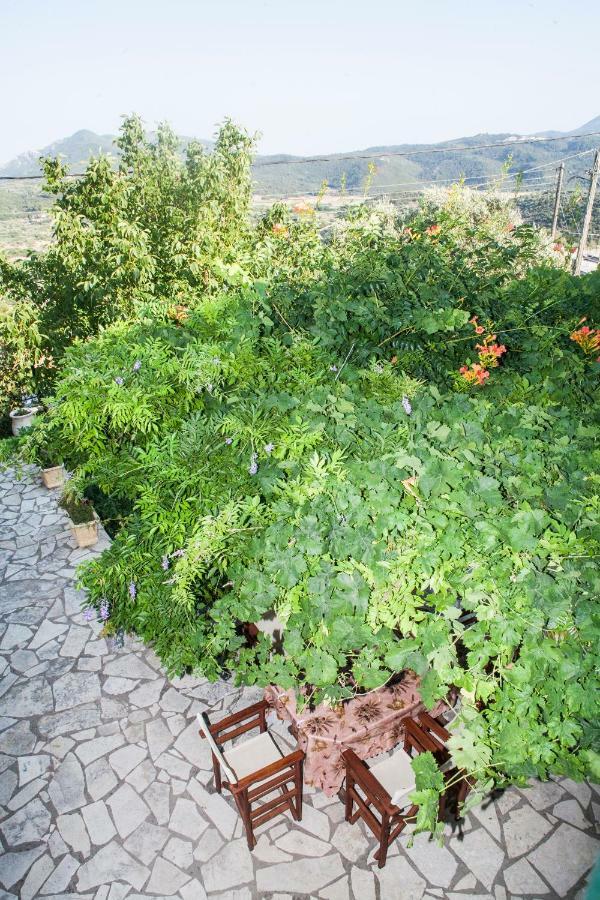 Villa Ilias Pinakokhorion Exterior foto