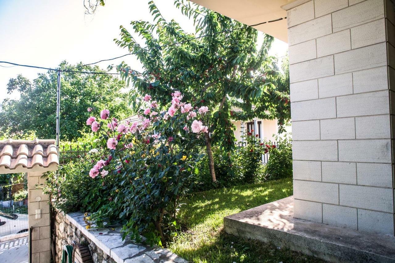 Villa Ilias Pinakokhorion Exterior foto